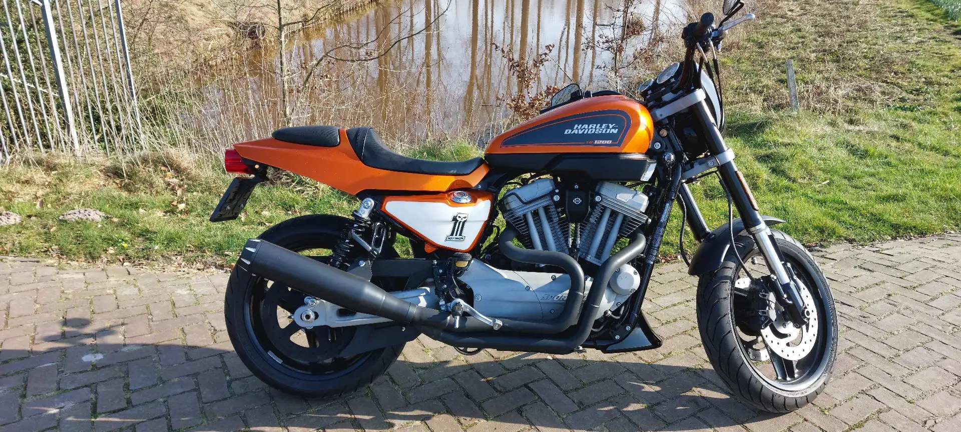 Harley-Davidson Sportster XR 1200 15000km Oranje - 1