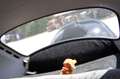 Volkswagen Käfer Schwarz - thumbnail 13