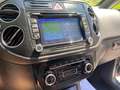 Volkswagen Golf Plus Golf Plus 2.0 tdi Highline140cv E5 GARANZIA 1 ANNO Grau - thumbnail 11