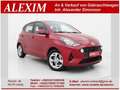 Hyundai i10 Trend/DAB/Carplay/Temp/behei.Lenkrad/SHZ Rot - thumbnail 1