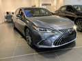 Lexus ES 300 300h 35th Edition | UIT VOORRAAD LEVERBAAR IN DE K Grigio - thumbnail 3