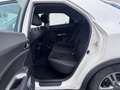 Honda Civic 1.4i Weiß - thumbnail 6