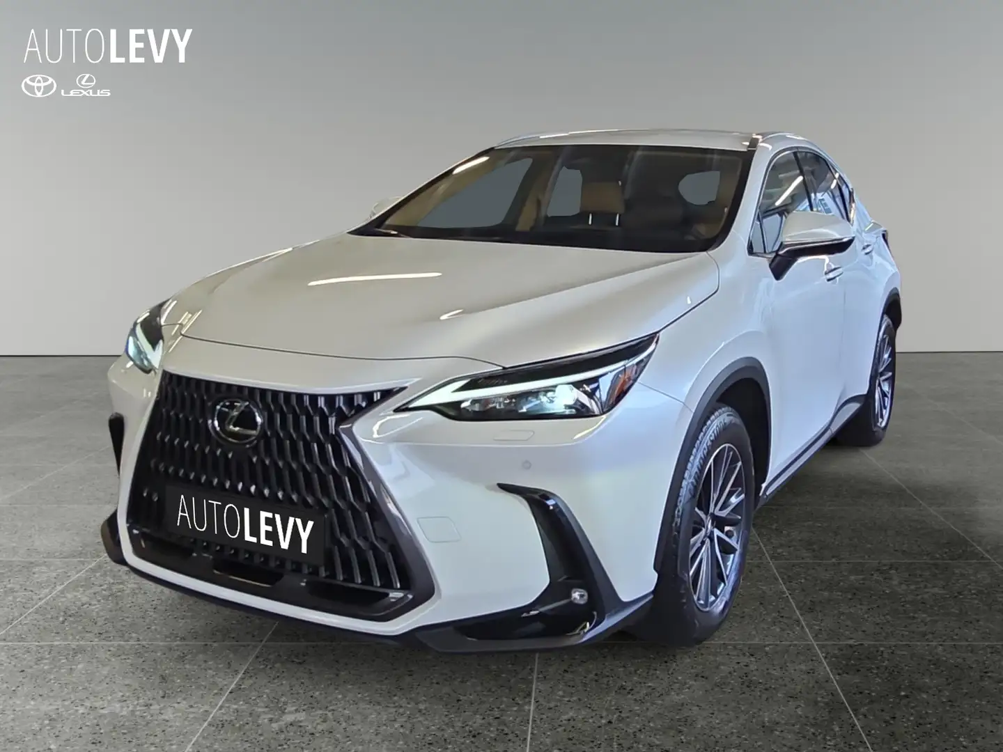Lexus NX 350h Executive Line +Kamera+Leder+Headup+ Blanc - 2
