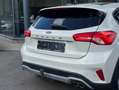 Ford Focus 1.0 TITANIUM Edt. / PANO / BANG&OLUFSEN / HUD / ++ - thumbnail 6