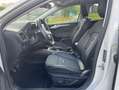Ford Focus 1.0 TITANIUM Edt. / PANO / BANG&OLUFSEN / HUD / ++ - thumbnail 15
