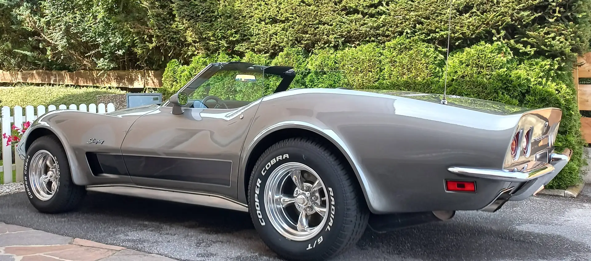 Chevrolet Corvette C3 Silber - 2