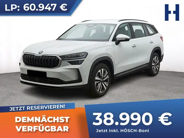 2025 Skoda Kodiaq in White for sale
