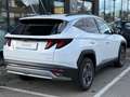 Hyundai TUCSON Tucson 1,6 T-GDI HEV 2WD Jubilé Aut. Weiß - thumbnail 3
