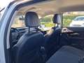 Citroen C3 C3 1.2 PureTech 82 S&S ETG cambio automatico Blanc - thumbnail 11
