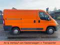 Citroen Jumper Kasten 30 L1H1 Profi HDi 110 - TÜV NEU Weiß - thumbnail 5