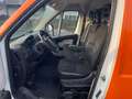 Citroen Jumper Kasten 30 L1H1 Profi HDi 110 - TÜV NEU Weiß - thumbnail 9