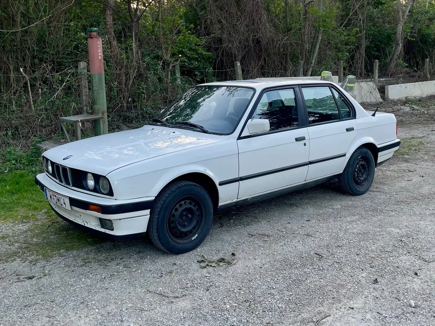 BMW 316 316i Weiß - 2