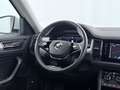 Skoda Kodiaq 2.0 TDI Tour Aut MATRIX AHK RADAR NAVI PDC Weiß - thumbnail 14