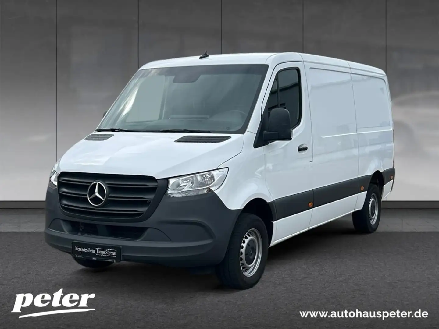 Mercedes-Benz Sprinter 317 CDI Kasten 9GT+AHK+STHZG+KAMERA+DISTR Blanc - 1
