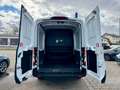 Ford Transit Kasten 350 L3H2 Aut. Trend Mixto 6-Sitze Weiß - thumbnail 23