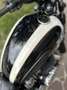Triumph Bonneville T100 cafe racer - thumbnail 1