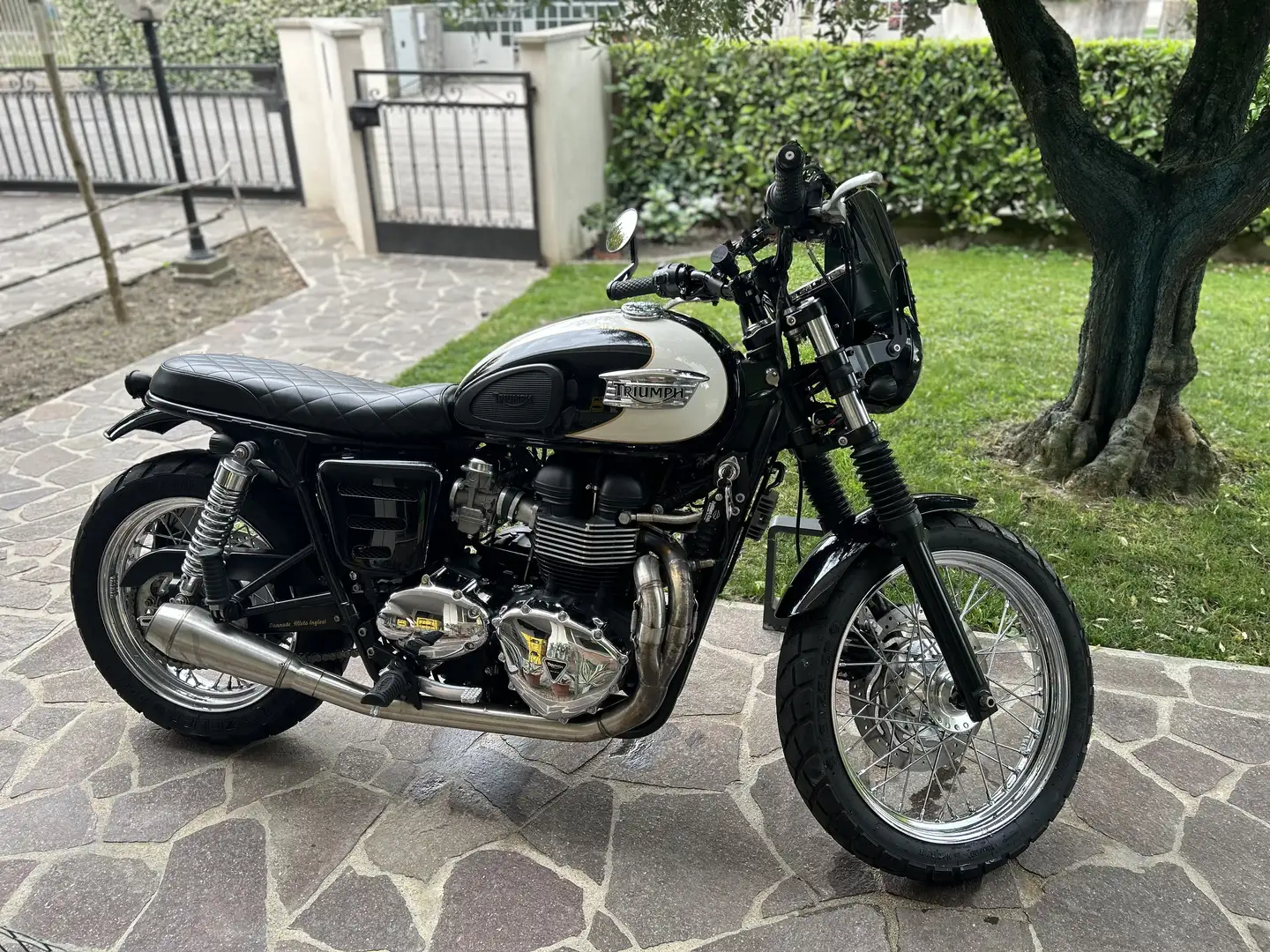 Triumph Bonneville T100 cafe racer - 2