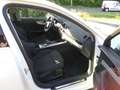 Audi A4 sport Weiß - thumbnail 14