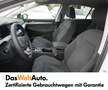 Volkswagen Golf Life mHeV TSI DSG Blanco - thumbnail 7