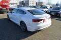 Audi A5 Sportback S-line*Virtual*HUD*Kamera*LED*Navi* Weiß - thumbnail 4
