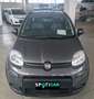 Fiat Panda Panda 1.0 firefly hybrid City Life s&s 70cv 5p.ti Grigio - thumbnail 2
