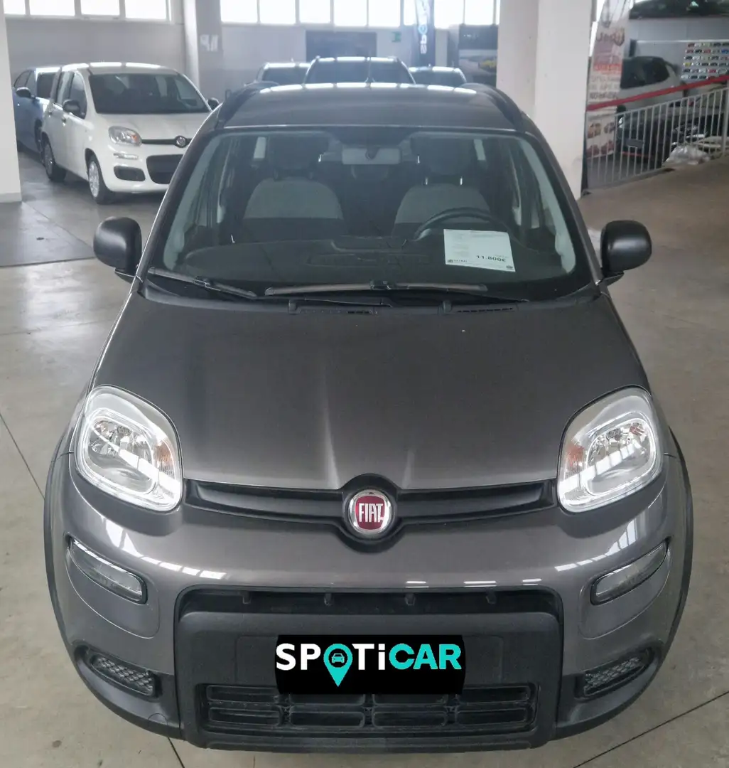 Fiat Panda Panda 1.0 firefly hybrid City Life s&s 70cv 5p.ti Grigio - 2