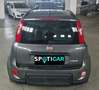 Fiat Panda Panda 1.0 firefly hybrid City Life s&s 70cv 5p.ti Grigio - thumbnail 5