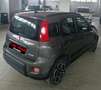 Fiat Panda Panda 1.0 firefly hybrid City Life s&s 70cv 5p.ti Grigio - thumbnail 4