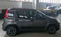 Fiat Panda Panda 1.0 firefly hybrid City Life s&s 70cv 5p.ti Grigio - thumbnail 6