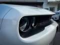 Dodge Challenger 6.4 392 SRT*BREMBO*LAUNCH*SCAT PACK Blanco - thumbnail 15
