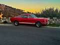 Ford Mustang fastback gt350 shelby tribute Red - thumbnail 3