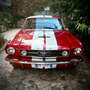 Ford Mustang fastback gt350 shelby tribute crvena - thumbnail 2