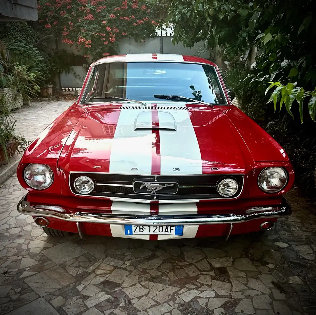 Ford Mustang fastback gt350 shelby tribute Rood - 2