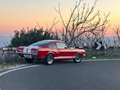 Ford Mustang fastback gt350 shelby tribute Kırmızı - thumbnail 1