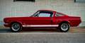 Ford Mustang fastback gt350 shelby tribute Rouge - thumbnail 6