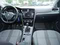 Volkswagen Golf VII Variant 1.4 TSI Allstar BMT SHZ NAVI Gris - thumbnail 20