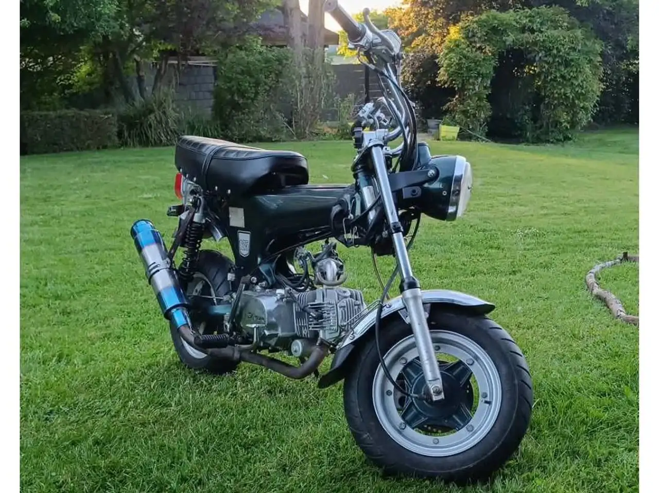 Skyteam Dax 125