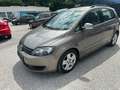 Volkswagen Golf Plus 1.6 TDI 105 PS Euro5 Braun - thumbnail 10