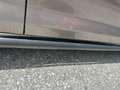 Volkswagen Golf Plus 1.6 TDI 105 PS Euro5 Braun - thumbnail 3