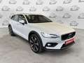 Volvo V60 Cross Country V60 Cross Country B4 (d) AWD automatico Ultimate Blanc - thumbnail 3