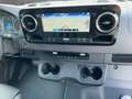 Mercedes-Benz Sprinter 319 CDI Pferdetransporter +SPU.HA+TEMP+ Grigio - thumbnail 10