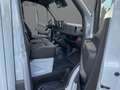 Mercedes-Benz Sprinter 319 CDI Pferdetransporter +SPU.HA+TEMP+ Grigio - thumbnail 7