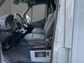 Mercedes-Benz Sprinter 319 CDI Pferdetransporter +SPU.HA+TEMP+ Grigio - thumbnail 6