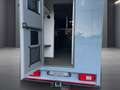 Mercedes-Benz Sprinter 319 CDI Pferdetransporter +SPU.HA+TEMP+ Grigio - thumbnail 5