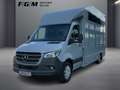Mercedes-Benz Sprinter 319 CDI Pferdetransporter +SPU.HA+TEMP+ Grigio - thumbnail 1