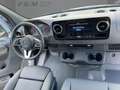 Mercedes-Benz Sprinter 319 CDI Pferdetransporter +SPU.HA+TEMP+ Grigio - thumbnail 8