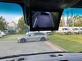 Mercedes-Benz Sprinter 319 CDI Pferdetransporter +SPU.HA+TEMP+ Grigio - thumbnail 12