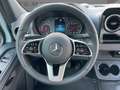 Mercedes-Benz Sprinter 319 CDI Pferdetransporter +SPU.HA+TEMP+ Grigio - thumbnail 9