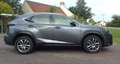 Lexus NX 300h 4WD - attelage Gris - thumbnail 1