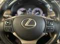 Lexus NX 300h 4WD - attelage Gris - thumbnail 9